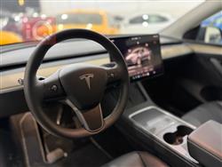 تسلا موديل Y